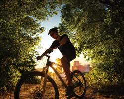 Biking through the forests surrounding Knoxville is an amazing adventure through nature.