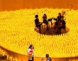 Candlelight: Valentine’s Day Special