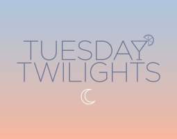 Tuesday Twilights