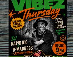 Mad Vibez featuring D Madness + Rapid Ric + Azurah Vibez!
