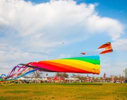 ABC Kite Fest