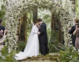 The Twilight Saga: Breaking Dawn - Part 1 Movie Party