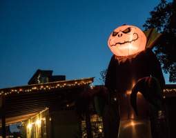 Boo at the Zoo