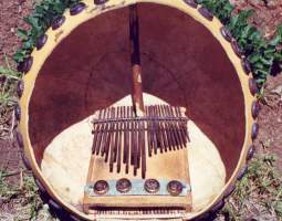 Rattletree Electric Debut