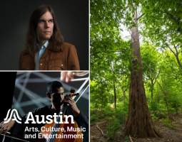 Music for Trees: Fusebox Festival