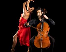 Variations on a Love Theme