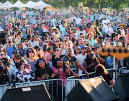 Austin Reggae Festival