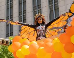 Viva La Vida Festival and Parade