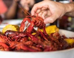 Best Boiled Crawfish in New Orleans