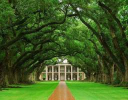 Oak Alley is one of the most magnificent plantation tours because of the 28, evenly spaced, huge Oak Trees that go from the river road to the Plantation House. Built in 1837 using Greek Revival architecture, and restored in 1925, this house could to be straight out of the movie “Gone with the Wind”. In addition to antique farm equipment, the twenty-five acre grounds also feature a restaurant, blacksmith shop and a souvenir shop, of which you'll enjoy some free time to peruse at your leisure. It is a comprehensive plantation experience.