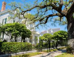 We bring you authentic, unscripted experiences of our vibrant culture. Excursions are just for you and the people you are traveling with. A private tour allows for flexibility and customization.