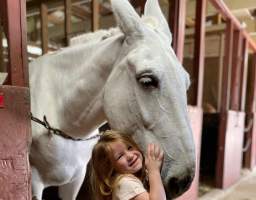 Tour the oldest stable in New Orleans. Meet the mules of Royal Carriages and get a behind the scenes tour of the oldest carriage company in the US. Afterwards, embark on a cultural and historic tour of the oldest neighborhood in New Orleans. Discover what makes the Marigny neighborhood unique and the vast cultural significance of the area on the United States. Hear about local legends, both hero and villain on this tour.