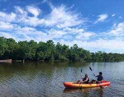 A self guided adventure just minutes from the French quarter on Bayou Bienvenue. The area is teeming with wildlife; from birds, herons, docile alligators, turtles, and more.