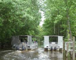 Experience the full magic of Louisiana's bayous on the closest swamp tour to downtown New Orleans. Journey down the bayou on a 90-minute Cajun adventure through the heart of Southern Louisiana on a relaxing and shaded pontoon boat ride in the protected Jean Lafitte National Park and Preserve. As you and your family glide along swamp waters, observe native plant and exotic life in a delicate yet powerful landscape that has both changed and defined Louisiana culture. View moss-covered cypress trees, evading yet beautiful water hyacinths, gators, egrets, and many more interesting creatures that call the swamp their home. Tour guides born and raised in the bayou will reveal the mysteries of the bayou as well as exclusive facts about its ecosystem. Join us and "laissez les bons temps rouler!"