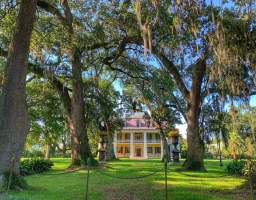 Journey back in time at the Houmas House Estate and Gardens as you take a guided tour of the grand antebellum mansion, just a short drive from New Orleans, Louisiana, and immerse yourself in the rich history of the old South. Costumed staff bring the era to life as they share stories of this former sugar plantation, and you’ll have time to stroll through the South’s Most Beautiful Gardens before or after your tour. While you’re here, enjoy a delicious Southern meal at one of our on-site restaurants— The Carriage House Restaurant, offering a refined Louisiana cuisine, or the Dixie Café, perfect for a casual experience.