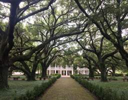 This is a half day tour of the old river road plantation homes. You will have a chance to see where they film movies like Django Unchained , Queen Sugar, 12 Years of Slave,Forest Gump with Tom Hanks, interview with a vampire with Brad Pitt. Also your Driver/Guide will enlighten you on a host of other attractions.