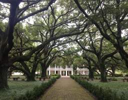 This is a half day tour of the Whitney Plantation and a Tour of the Louisiana swamp in a 16 to 20 passenger airboat through the marsh and swamps of southeast Louisiana.