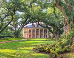 Experience the grandeur of New Orleans’ antebellum south on a half‐day tour of Oak Alley Plantation. Take a journey through time to the manicured estate and into the gorgeous home, built in 1839. View stunning architecture, oak‐lined esplanades, and enduring sugar cane fields while learning about the plantation’s fascinating – and often somber – histories from expert guides.