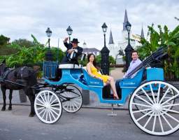Awarded the 2018 Louisiana Attraction of the Year Award, this trip offers a 1-hour private carriage which is perfect for couples or small families who are looking to experience the French Quarter in the most authentic way. Ride through the historic neighborhoods of New Orleans and discover the amazing history, culture, and architecture of the French Quarter with your local, professional, and licensed guide who will be guiding you through one of the most vibrant neighborhoods in America with the help of his trusted carriage mule. Learn the basics of New Orleans history and discover fascinating anecdotes about the people and places that have contributed to making the city truly unique and unforgettable. This is limited to 4 people.