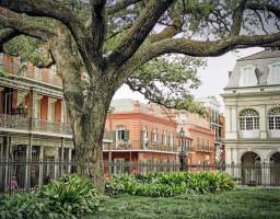 Experience a 3-hour private city tour in a small 12-passenger French Quarter-friendly bus. The tour picks up from most New Orleans hotels or your New Orleans address. This tour include a licensed tour guide who can customize the tour to fit your specific interests, whether it be music, history, architecture, horticulture, cemeteries, or all of the above.