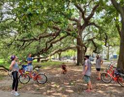 We begin with a tour of St. Joseph’s Cemetery, where your guide will tell you of the unique burial traditions and celebrations in our “cities of the dead”. You'll then roll under the shade of the live oak trees in the Garden District. You will marvel at the beautiful mansions owned by wealthy merchants of the past and celebrities of the present. Your guide will tell you stories of not only the residents but also the people who built these amazing houses. Time permitting, we will cruise through the Irish Channel to see its colorful shotgun houses, neighborhood restaurants, and hole-in-the-wall po’boy shops. Paved Paradise Tours is a small, owner-operated company that provides a truly local perspective. When you ride with us you are riding with one of the owners, ensuring that your experience is of the highest quality. See the city through the eyes of someone who loves what they do, loves the City of New Orleans, and wants you to love it too.