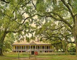 WEST-AFRICAN Captured for their agricultural and construction skills, their work created the Louisiana colony and influenced all segments of the newly-forming Creole culture, best seen today in language, cuisine, music, family-centered traditions, architecture and life-style. This sugarcane plantation started in 1805 with 7 enslaved people (six west-Africans and one Amerindian). As the plantation grew, so did the number of enslaved workers. Four original slave cabins built in the 1840s remain standing today on the plantation. By the onset of the Civil War, 186 workers were enslaved on this farm. Following the emancipation of slaves in Louisiana (1866), the great majority of these former slaves continued to live in the Laura Plantation quarters. Descendants of these men &amp; women were displaced in 1895 when cypress lumber companies had their own workers inhabit the Laura slave quarters. The cabins were lived in until 1977. Descendants of slaves live near the Laura Plantation to this day.