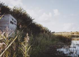 Bird Hide