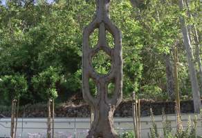 The Circus Trees of Gilroy Gardens