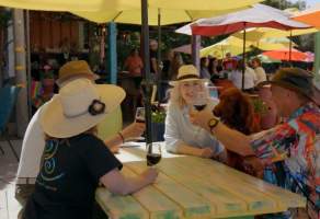 Sip & Savor at Gilroy Wineries