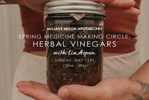Spring Medicine Making Circle: Herbal Vinegars