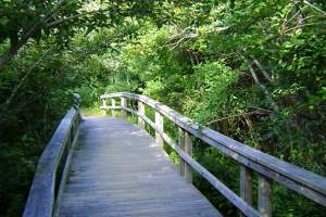 buxton woods trail
