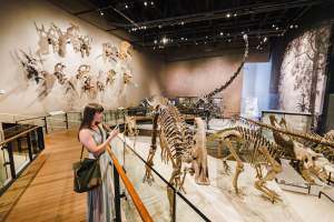 VSL_NHMU_HiRez_AustenDiamondPhotography-17-copy