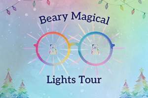 Beary Magical Lights 3D Experience