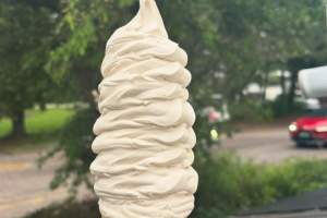 The Village Scoop