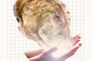 Oyster Lab at Original Skiff