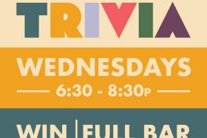 Trivia Night at Citizen Cider Pub