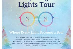 Beary Magical Lights Adventure!