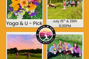 Yoga and U-Pick Flowers