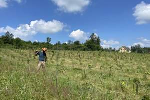 Wine Tasting with Chertok Wine