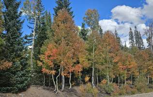 09-11-25 Hwy 143 - Patchwork Parkway