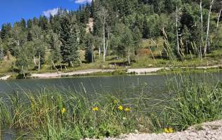 09-11-25 Fall Color - Woods Ranch - Kids Pond