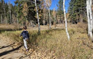 Aspen Mirror - October 2024