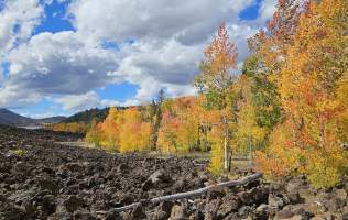 Fall 10-03-25 Lava Flows, Hwy 14, Navajo Lake