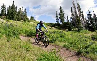 Brian Head Mountain Biking