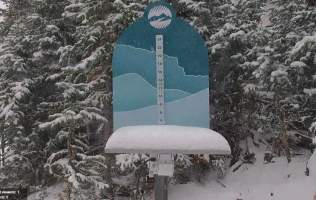 Snow stake measuring fresh inches at Brian Head Resort, framed by snowy pines