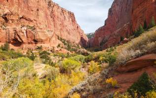 Kolob Canyons, Zion National Park, Fall