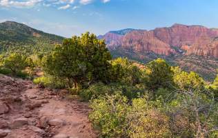 Kolob Timber Creek Trail
