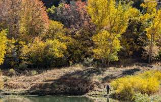 10-23-24 Forebay and Yankee Meadow Rd