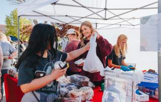 Festival City Farmer's Market