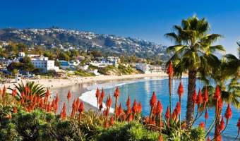 Coastal View of Laguna Beach